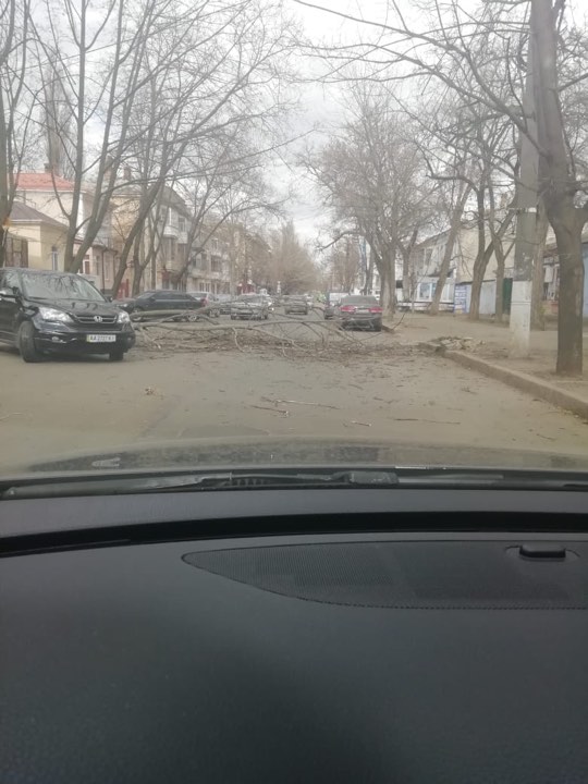 Дерево рухнуло на маршрутку с пассажирами в Николаеве 13