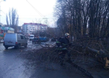 В Виннице дерево упало на 11-летнюю девочку