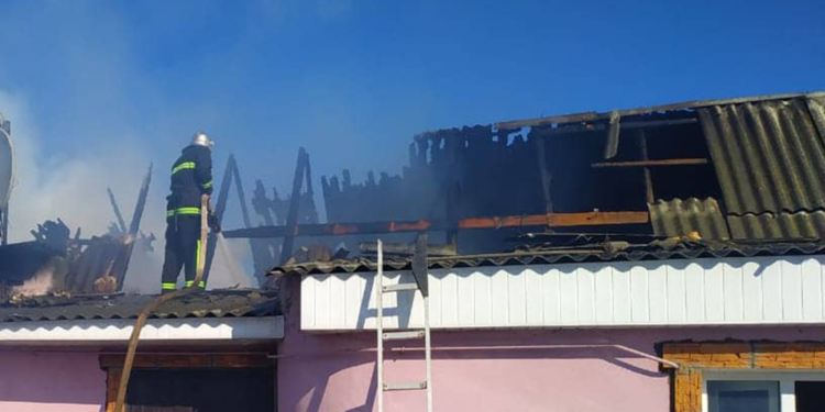 Николаевские спасатели не дали сгореть 40 поросятам