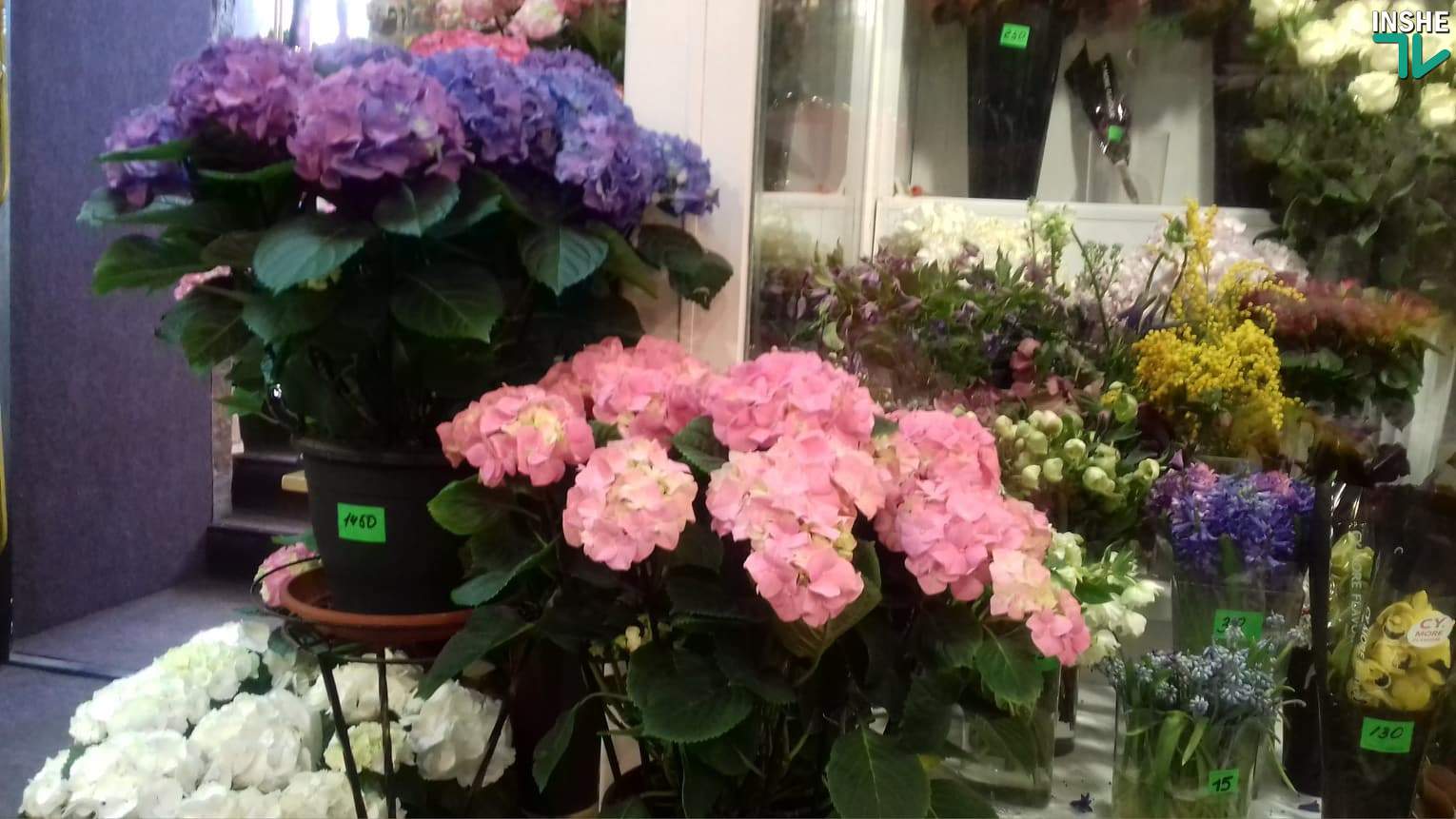 Весенний праздник. Во сколько николаевцам обойдутся цветы к 8 марта