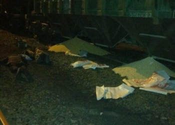 Николаевские железнодорожники поймали кукурузных воров