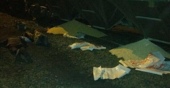 Николаевские железнодорожники поймали кукурузных воров