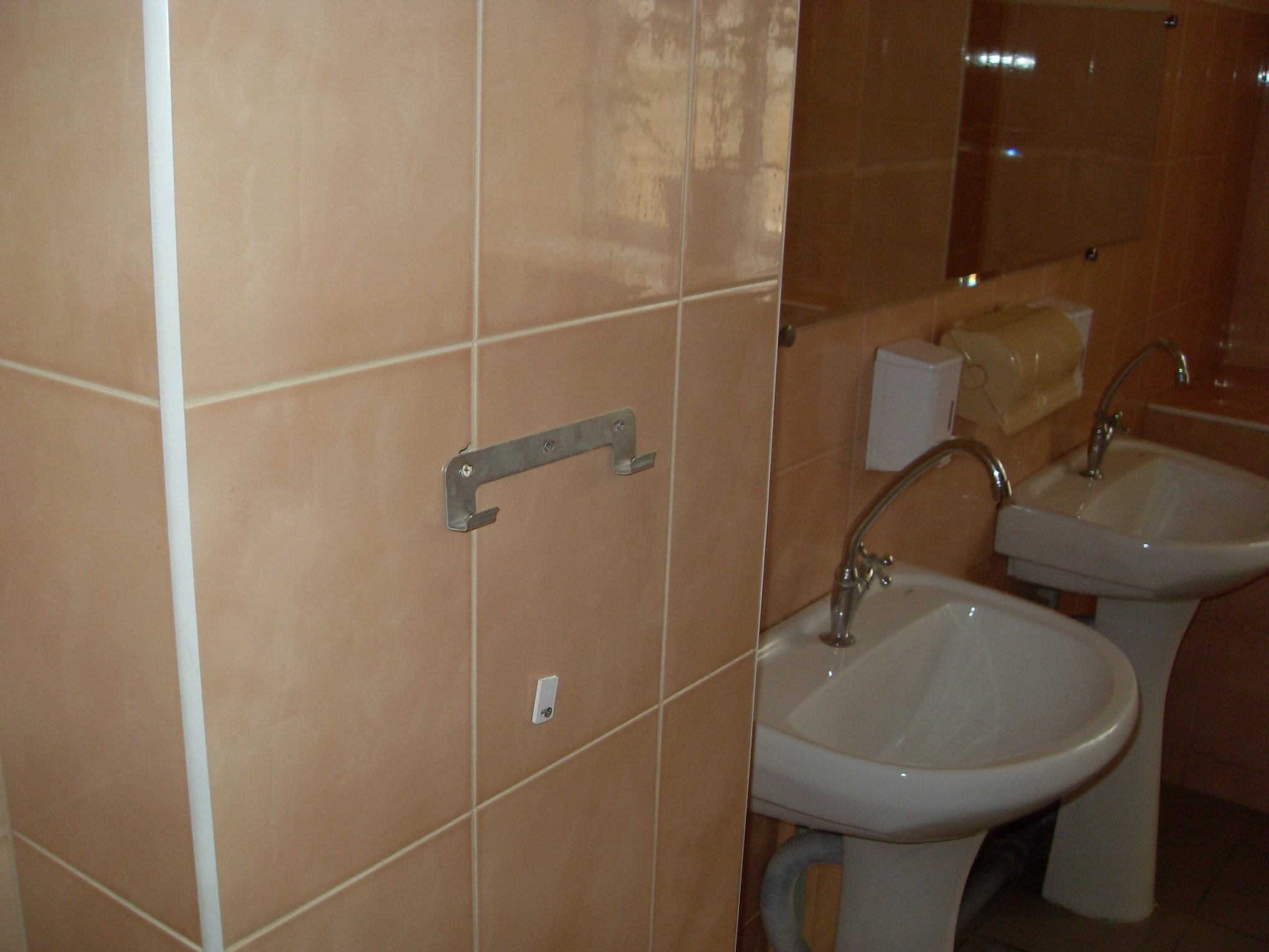 «Это в XXI веке происходит или во времена палеолита?» В Николаеве из женской уборной дворца культуры похитили сушилку для рук