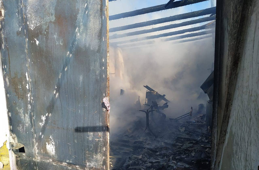 Николаевские спасатели не дали сгореть 40 поросятам 3