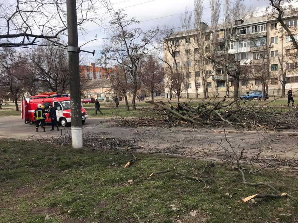 Дерево рухнуло на маршрутку с пассажирами в Николаеве 3