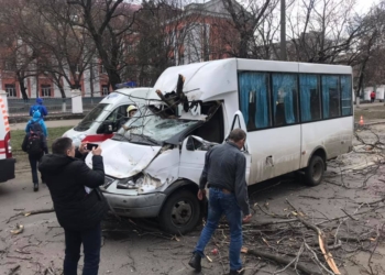 Дерево рухнуло на маршрутку с пассажирами в Николаеве