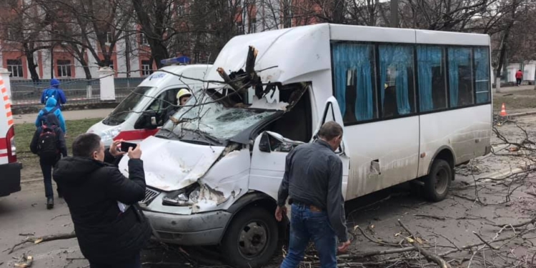 Дерево рухнуло на маршрутку с пассажирами в Николаеве