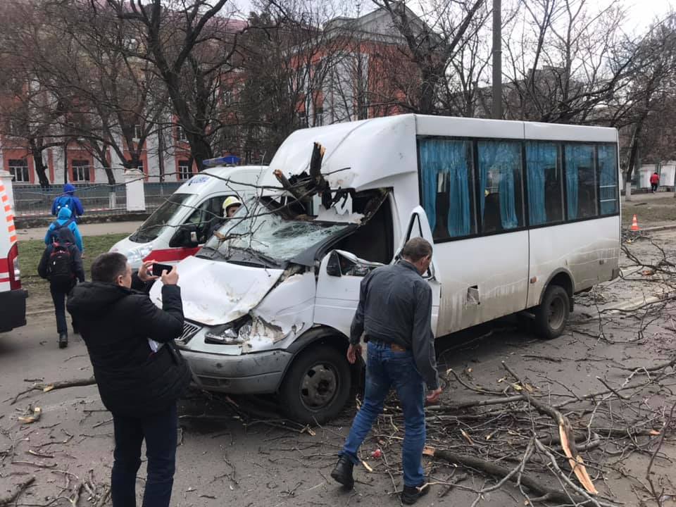 Дерево рухнуло на маршрутку с пассажирами в Николаеве 9