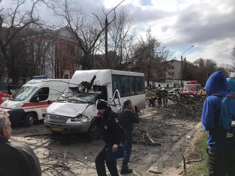 Дерево рухнуло на маршрутку с пассажирами в Николаеве 11