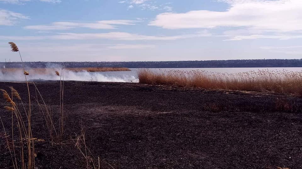 На Намыве гасят пожар камыша на значительной территории 1