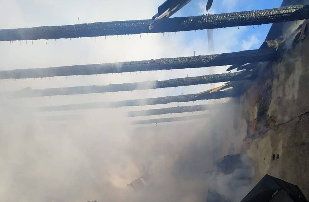 Николаевские спасатели не дали сгореть 40 поросятам 7