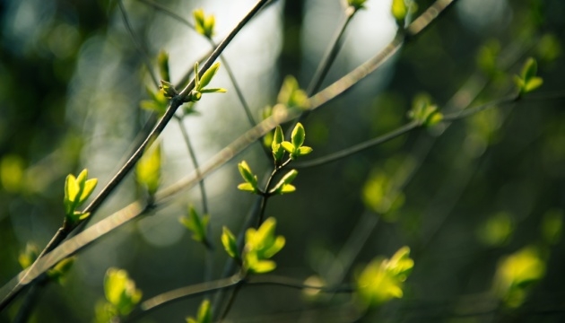 На днях Украину «прогреет» до +20°