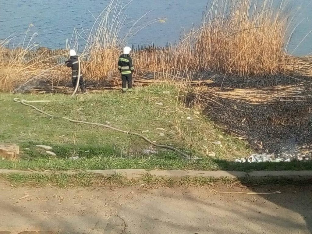 В Николаеве и вокруг города массово горит сухая трава и камыш 18