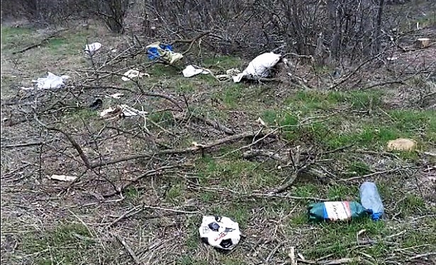 «Скоро останутся только воспоминания»: лесопосадки Коблевской ОТГ утопают в мусоре и лишаются здоровых деревьев