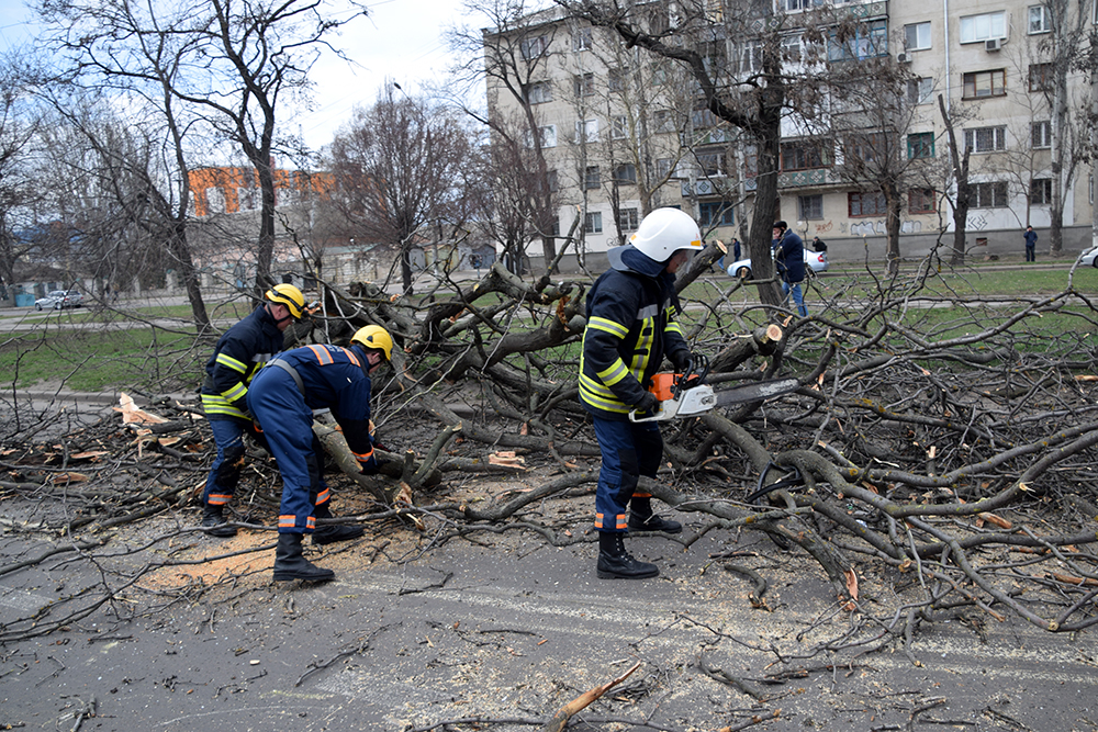 При падении дерева на маршрутку в Николаеве пострадали дети 3