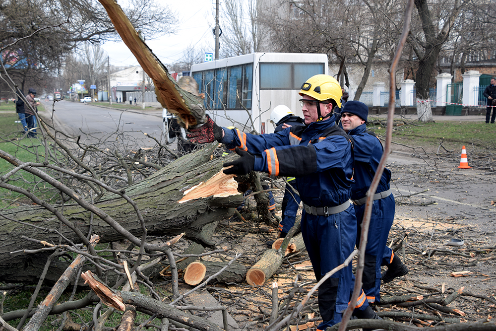 При падении дерева на маршрутку в Николаеве пострадали дети 7