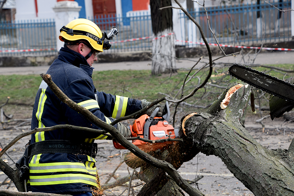 При падении дерева на маршрутку в Николаеве пострадали дети 9