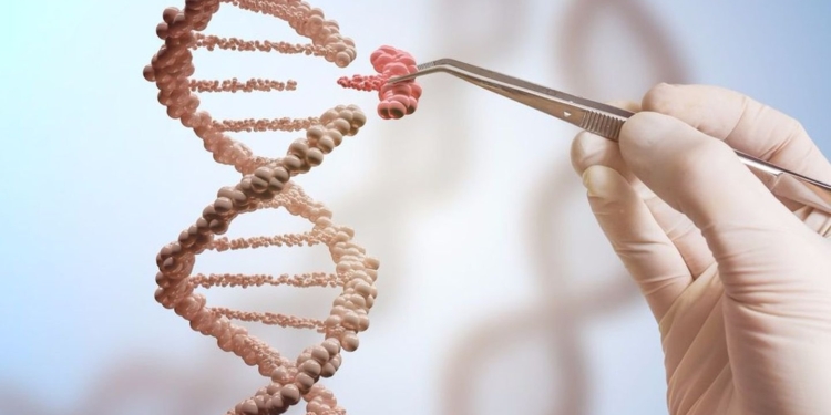 Биохакер из Днепра: 18-летняя студентка выращивает дома бактерии и клонирует ДНК