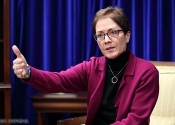 Кабмин должен провести аудит “Укроборонпрома”, – посол США