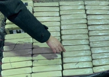 В Одесском порту в контейнере с бананами нашли кокаин – на $51 млн.