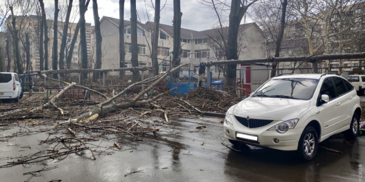 Деревья ломались, как спички. Ураган и пыльная буря бушевали в Одесской области