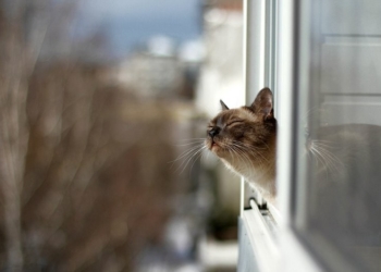 Завтра в Украине без осадков, температура до +6