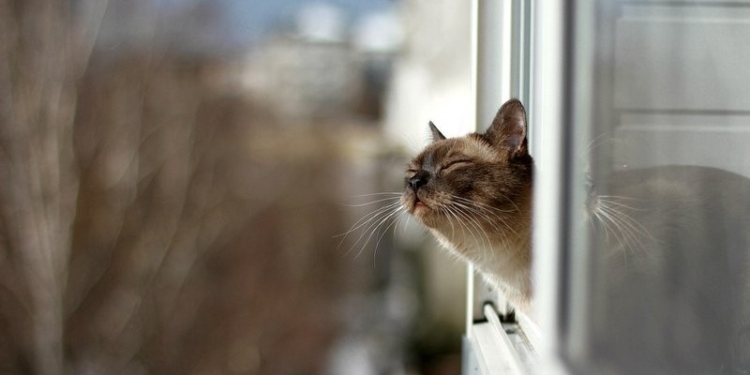 Завтра в Украине без осадков, температура до +6