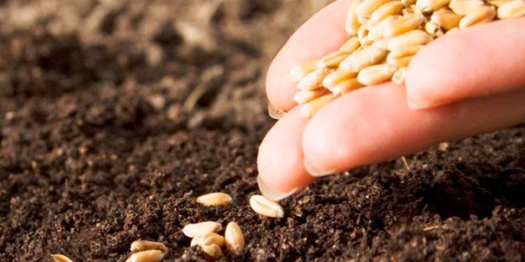 В Николаевской области стартовала посевная кампания