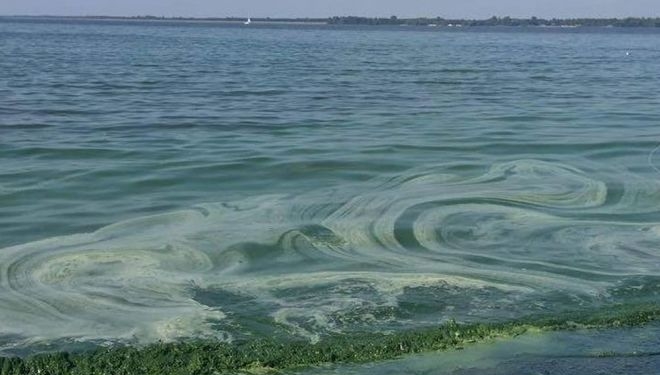 К 2050 году Украина вынуждена будет импортировать питьевую воду