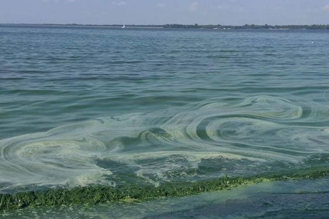 Екологи дослідили якість води в річках Херсонщини