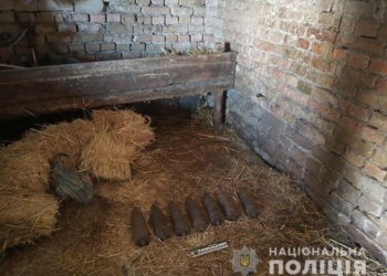 На Николаевщине мужчина спрятал старые немецкие артснаряды в гараже под соломой