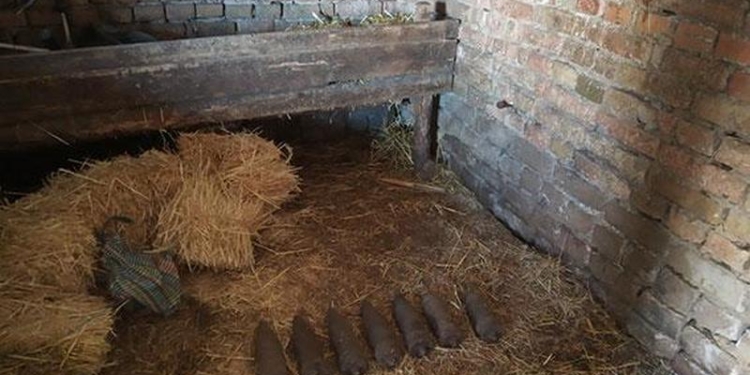 На Николаевщине мужчина спрятал старые немецкие артснаряды в гараже под соломой