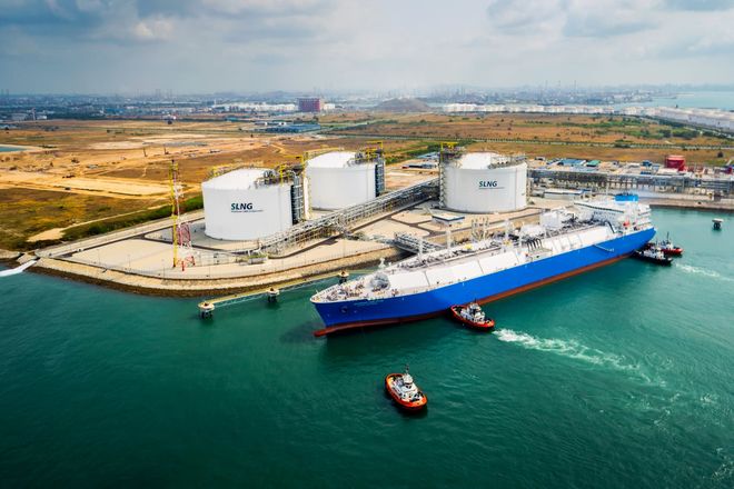 Саудовская компания SALIC собирается купить зерновой терминал на Черном море 1