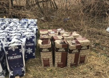 У пенсионерки из Винницкой области нашли больше тонны поддельного алкоголя мировых брендов