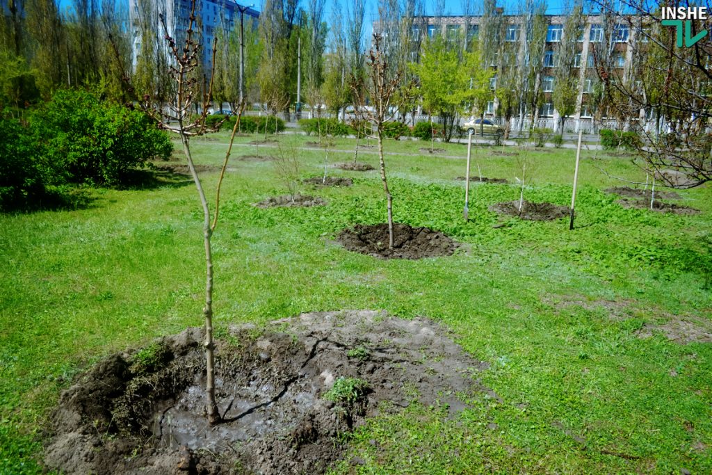 «Место должно стать магнитом, а не отпугивать людей»: юные волонтеры со всей Украины помогли облагородить парк Лески 1