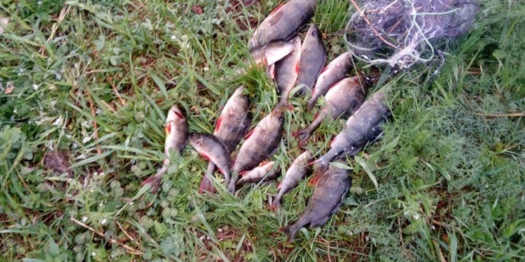 Глаз да глаз нужен: у Александровской ГЭС полиция Николаевщины «засекла» браконьеров