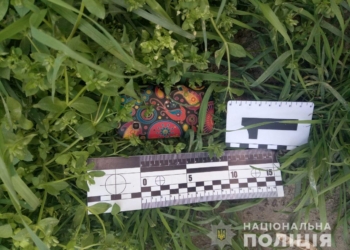 В Новой Одессе житель Славянска Донецкой области ограбил фармацевта