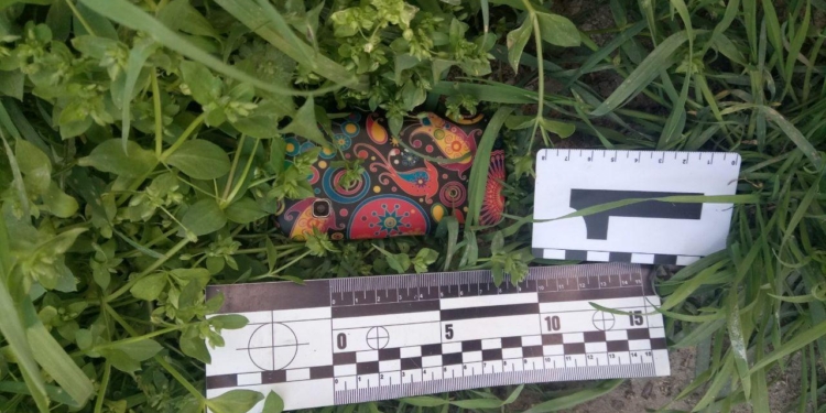 В Новой Одессе житель Славянска Донецкой области ограбил фармацевта