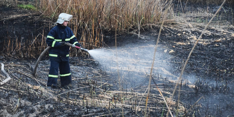 Вчера в Николаеве на берегу горел камыш, а в Балабановке – хвойная подстилка