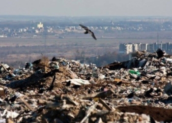 В Николаеве на городской свалке нашли человеческие останки – полиция открыла уголовное производство
