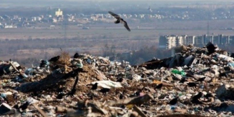 В Николаеве на городской свалке нашли человеческие останки – полиция открыла уголовное производство