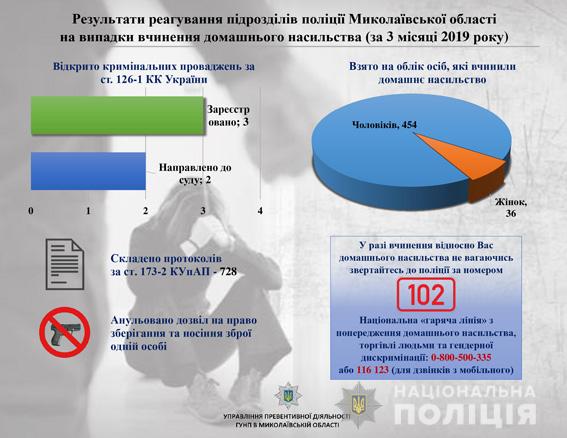 На Николаевщине с начала года открыто уже три уголовных производства за совершение домашнего насилия 2