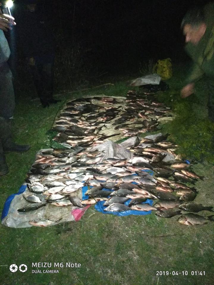 Николаевский рыбоохранный патруль за один день изъял 9 незаконных орудий лова и 65 кг рыбы 1