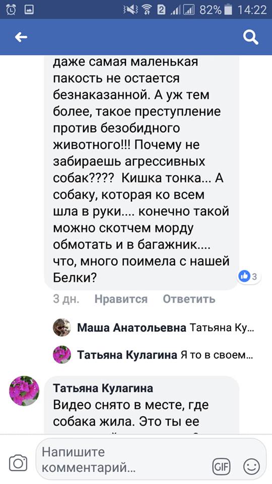 В Николаеве зоозащитники незаконно и жестоко отловили любимицу двора Белку. Жители уверены – чтобы продать собаку в Германию 24