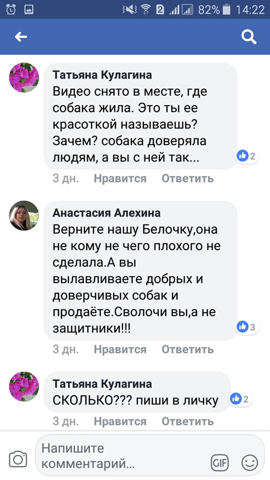 В Николаеве зоозащитники незаконно и жестоко отловили любимицу двора Белку. Жители уверены – чтобы продать собаку в Германию 30