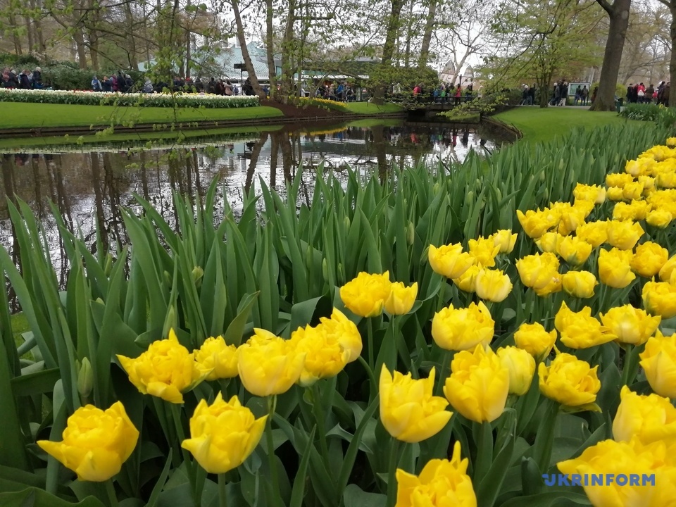 В Нидерландах состоялся один из крупнейших в мире цветочных фестивалей 1
