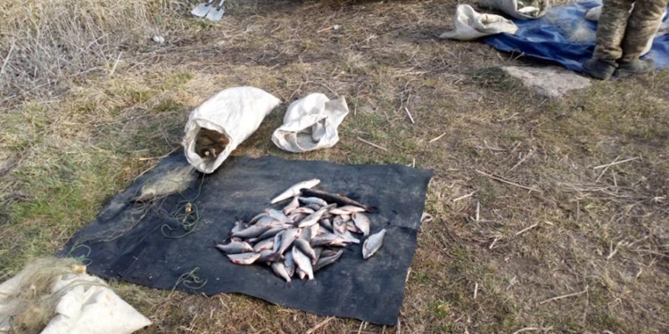 На Николаевщине рыбоохранный патруль поймал браконьеров с сетями длиной 1,2 км