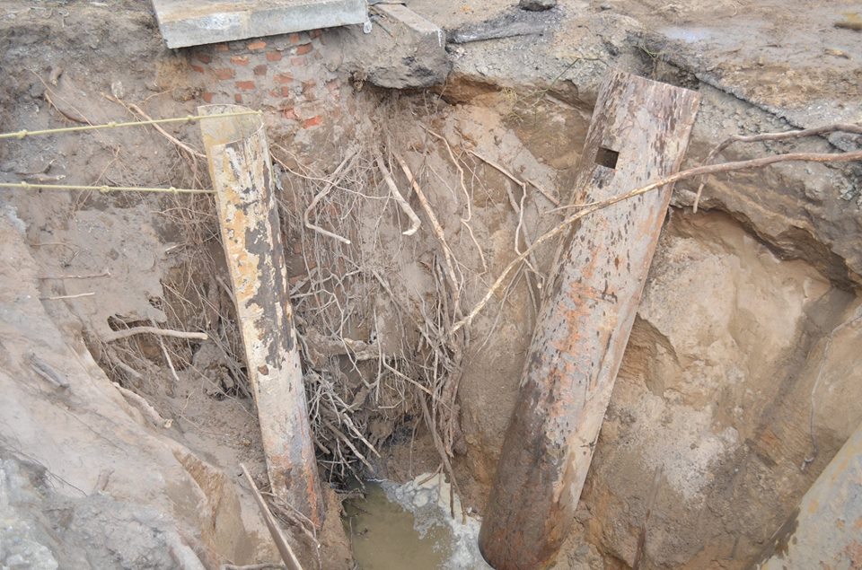 В Николаеве трубу канализационного коллектора разрушило… дерево 3