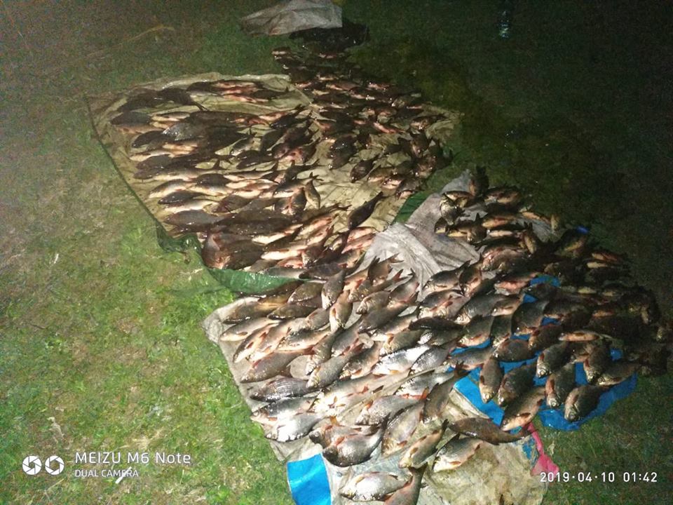 Николаевский рыбоохранный патруль за один день изъял 9 незаконных орудий лова и 65 кг рыбы 3