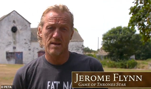 Актер «Игр престолов» призывает людей не покупать хаски из прихоти